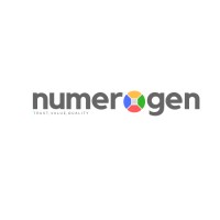 Numerogen Solutions Logo
