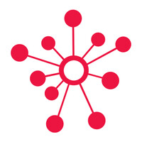 BDS DataSolution Logo