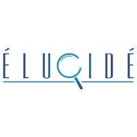 Elucide Softech Private Limited Logo