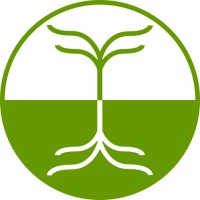 MAANUKA Innovation Advisors Logo