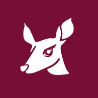 Tradoe Logo