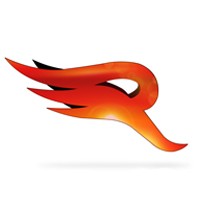 Redwing VFX & Animation Studios India Pvt.Ltd. Logo