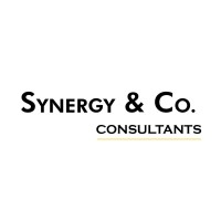 SYNERGY & CO. CONSULTANTS Logo
