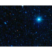 The Lodestar Foundation Logo