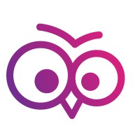 CV Owl Logo