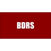BDRS & Associates LLP Logo