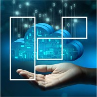 TransformEdge Enterprise Services Private Limited Logo