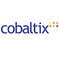 Cobaltix Logo