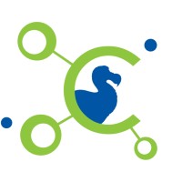Codect Ltd Logo