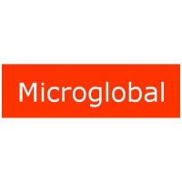 Microglobal Technology Logo