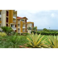 Sea View Apartments Logo