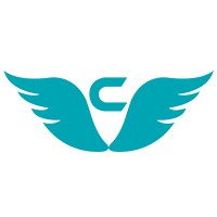 Codeflies Technologies Pvt. Ltd. Logo