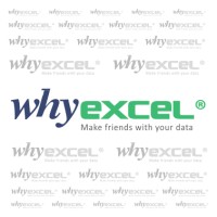 WHYEXCEL PLT (LLP0006844-LGN) Logo