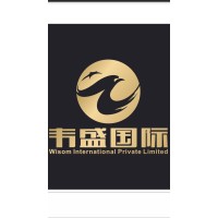 Wisom International Private Limited Logo
