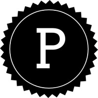 PARTNER RISK Solutions Logo