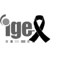 IGE Elektronik Ltd. Logo