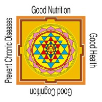 Sri Mookambika Infosystems Logo