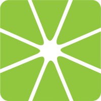 Lime Concepts Logo