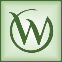 Web Mingo IT Solutions Pvt. Ltd. Logo