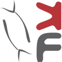 Krazy Fish Media Logo
