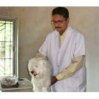 Pluto Pet Clinic Logo