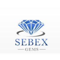 Sebex S.A. Logo