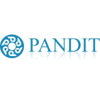 Pandit Ventures Pvt.Ltd. Logo