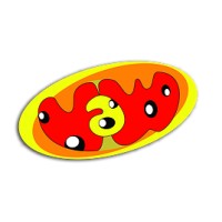 VawWorld Animation Studios Logo