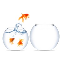 Howard Trading Limited Logo