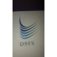DS Financial Services Logo