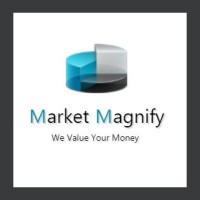 Market Magnify Investment Adviser & Research Pvt. Ltd. Logo