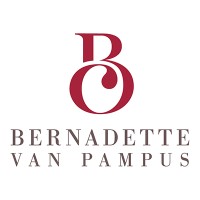 BVP Organisatieadvies Logo