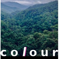 Colour Logo