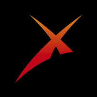 Inaxsys Security Systems Logo