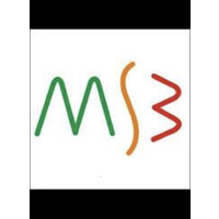 MSB Training Consultancy Logo