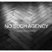 No Such Agency Logo