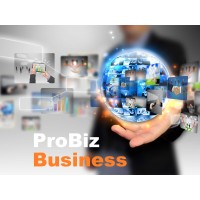ProBiz Business Logo