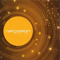 Netpoleon Singapore Logo