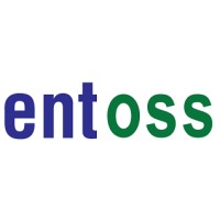 Entoss Technologies Logo