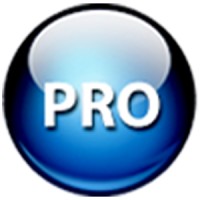 Pro IT City Logo