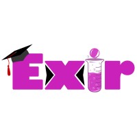 ExirAcademyOrg Logo