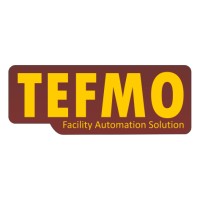 TEFMO Software Solutions Pvt. Ltd. Logo
