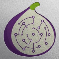 IoTFig Logo
