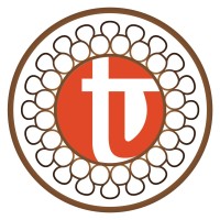 Team Visual Solutions LLC Logo