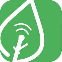 SabaCotta Logo