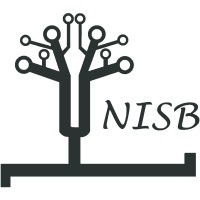 NIE IEEE Student Branch Logo