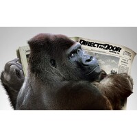 Direct-to-Door Marketing, Inc. Logo