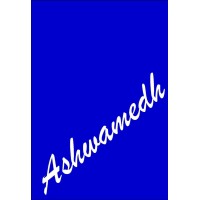 Ashwamedh Engineers & Consultants Logo