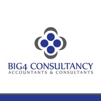 Big4 Consultancy Logo