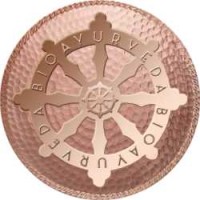 BIOAYURVEDA Logo